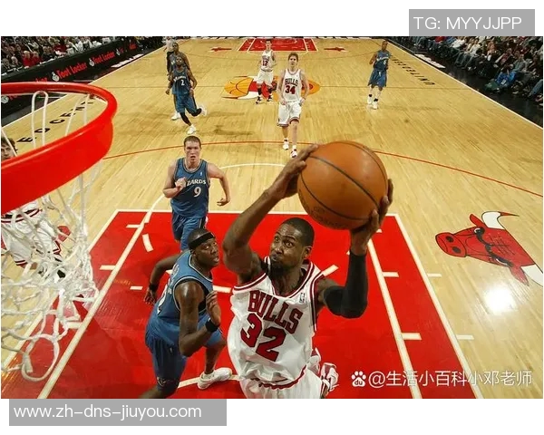 2004年NBA经典对决火箭队与老鹰队精彩录像回顾与分析